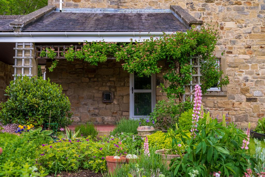 Pedlar's Rest Sharpeton Northumberland-32