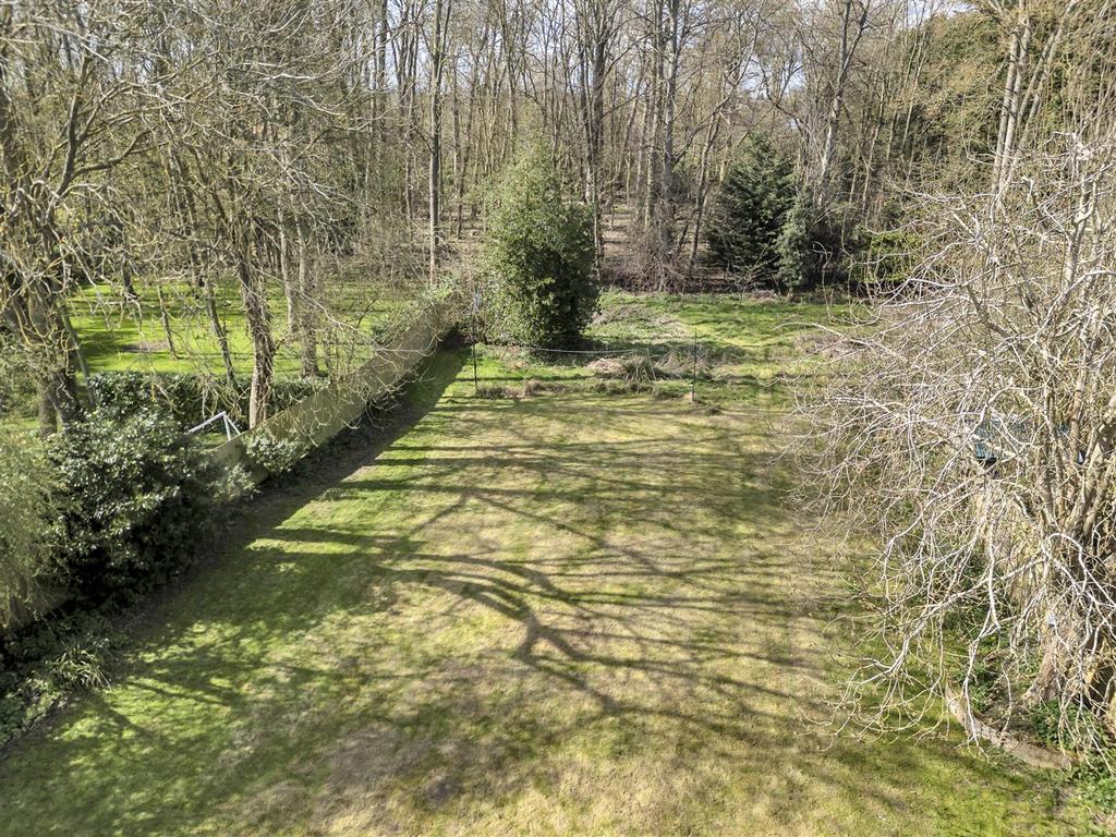 DJI 0305.jpg
