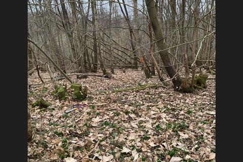 Land for sale, Dale Hill, Devilsden Wood, Wadhurst Hurst Green, Ticehurst TN5
