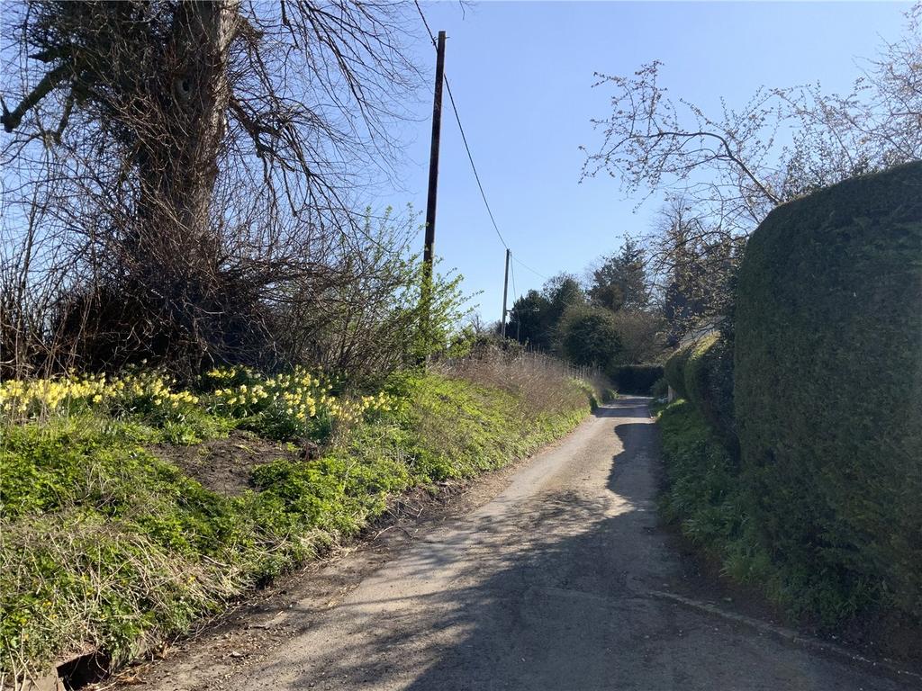 Lane