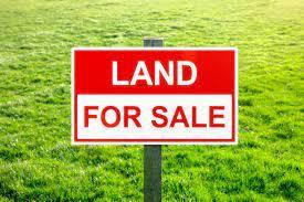 Graziing Land (13).jpg