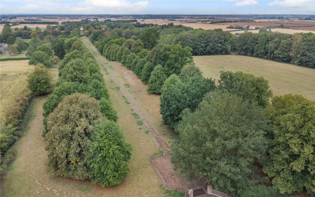The Avenue