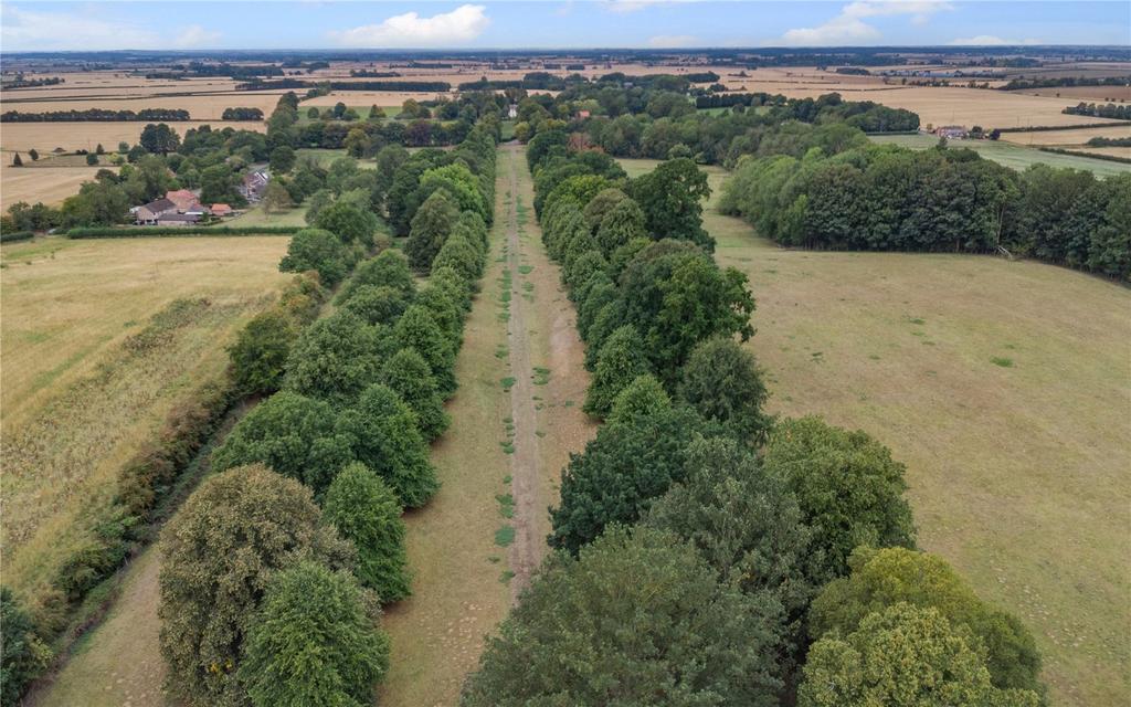 The Avenue