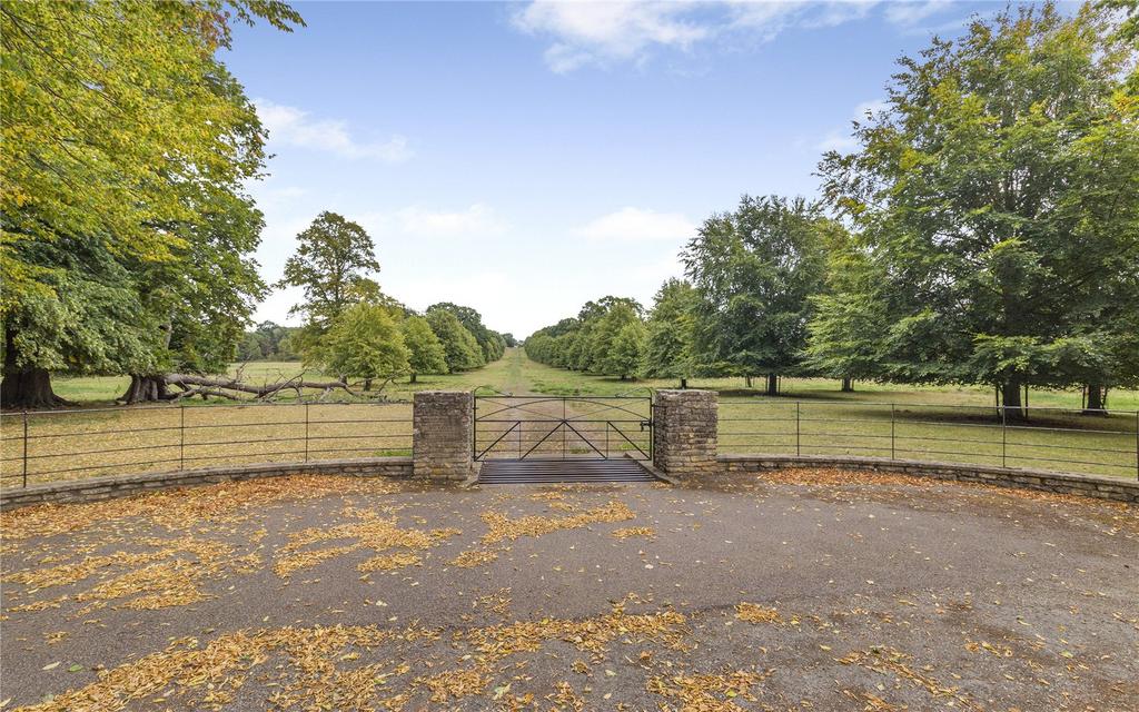 Front Drive
