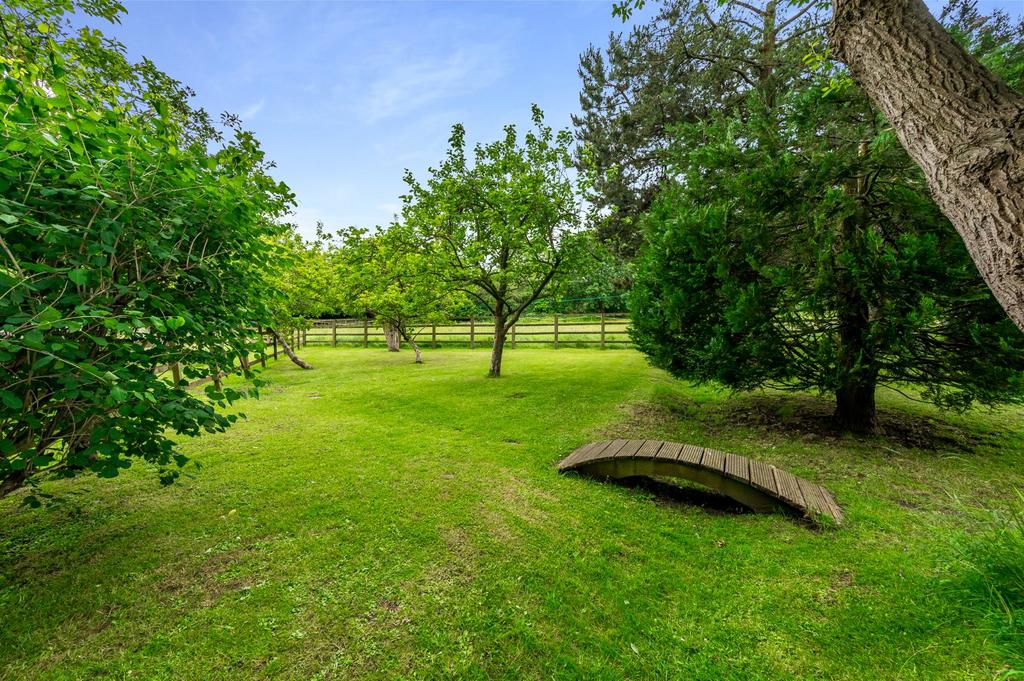 Orchard Area