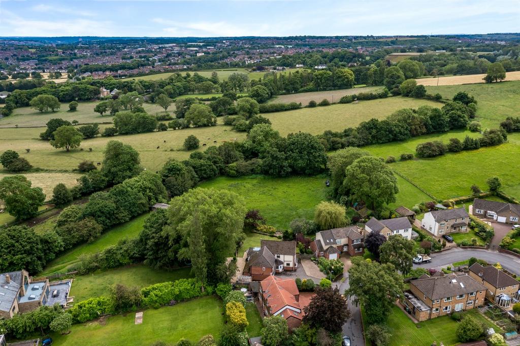 Aerial Overview