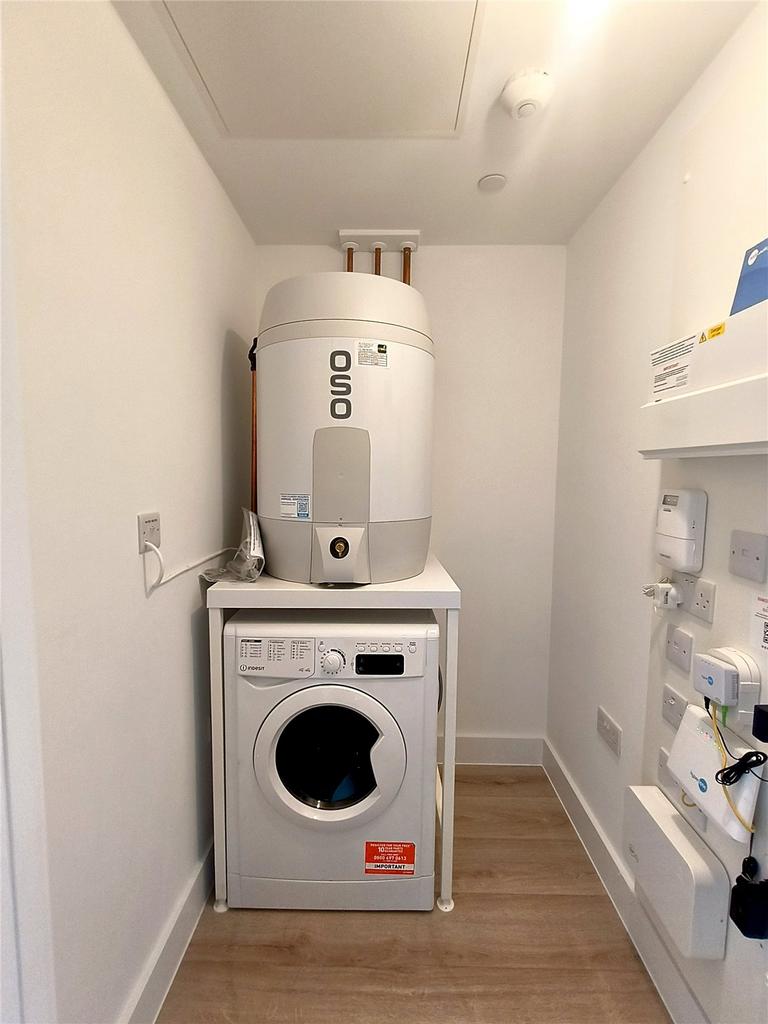 Picture 8