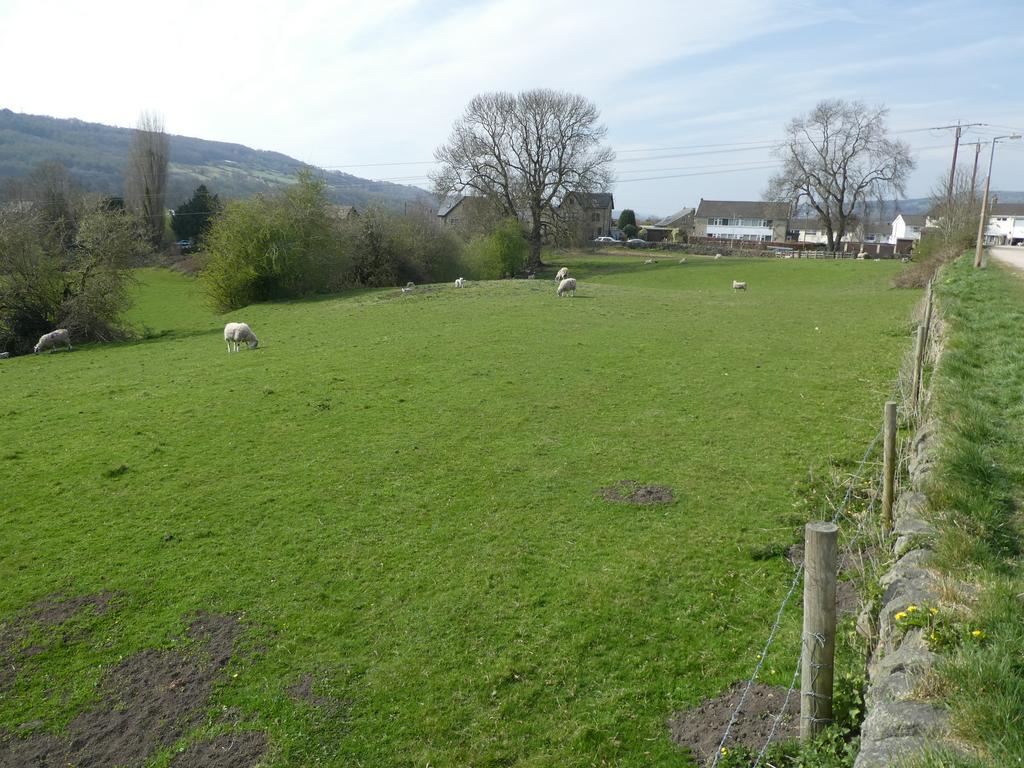 View adjoining canal towpath