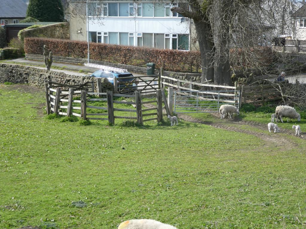 Livestock loading/handling pen