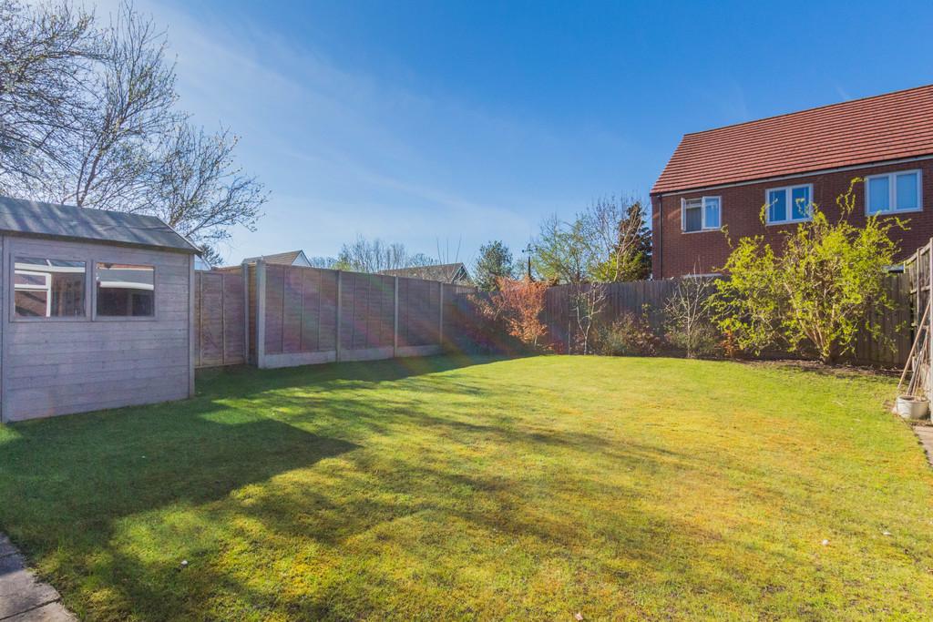 Back Garden