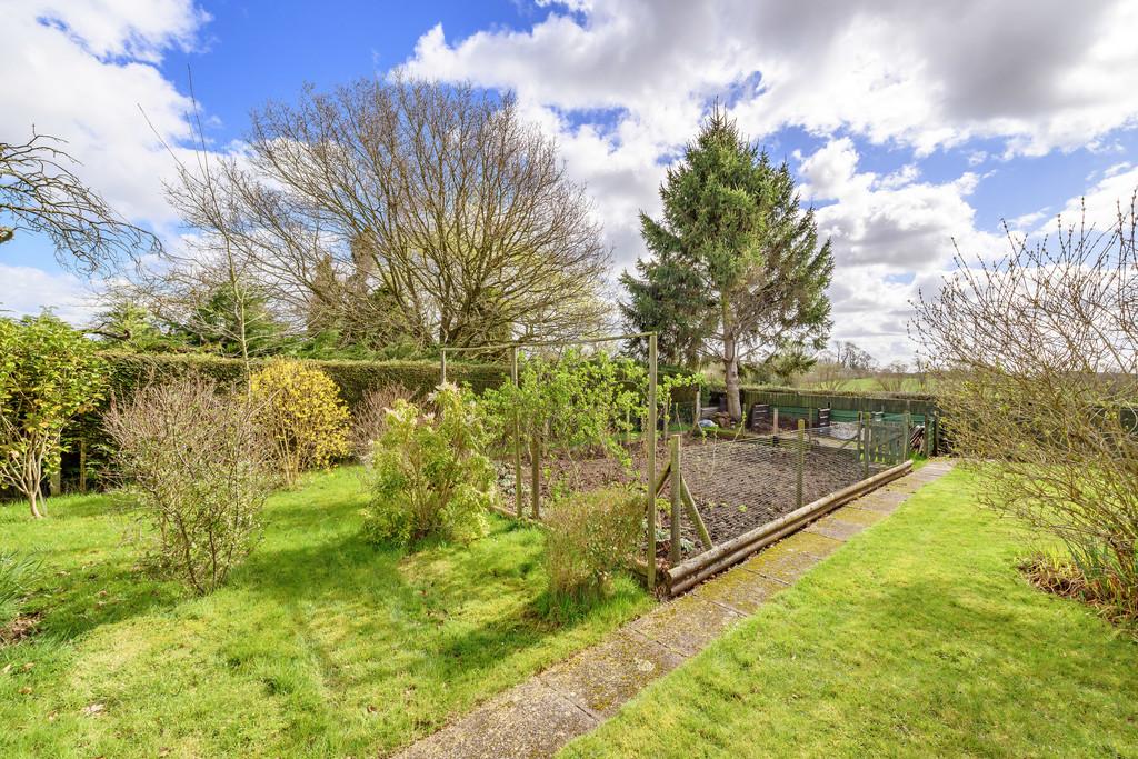 Vegetable Garden