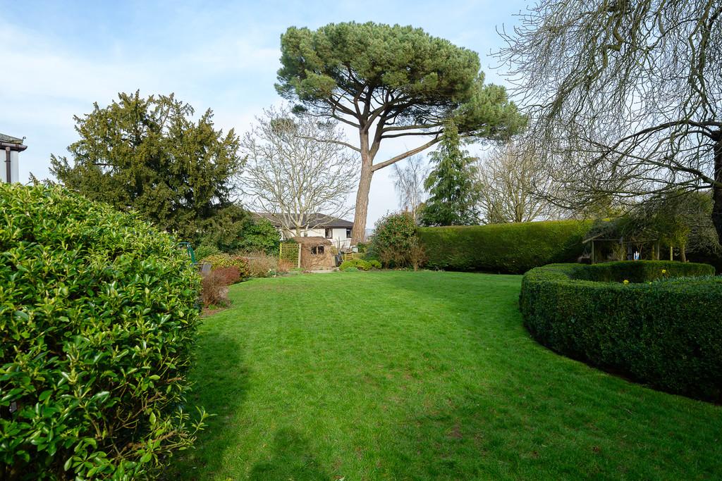 The garden