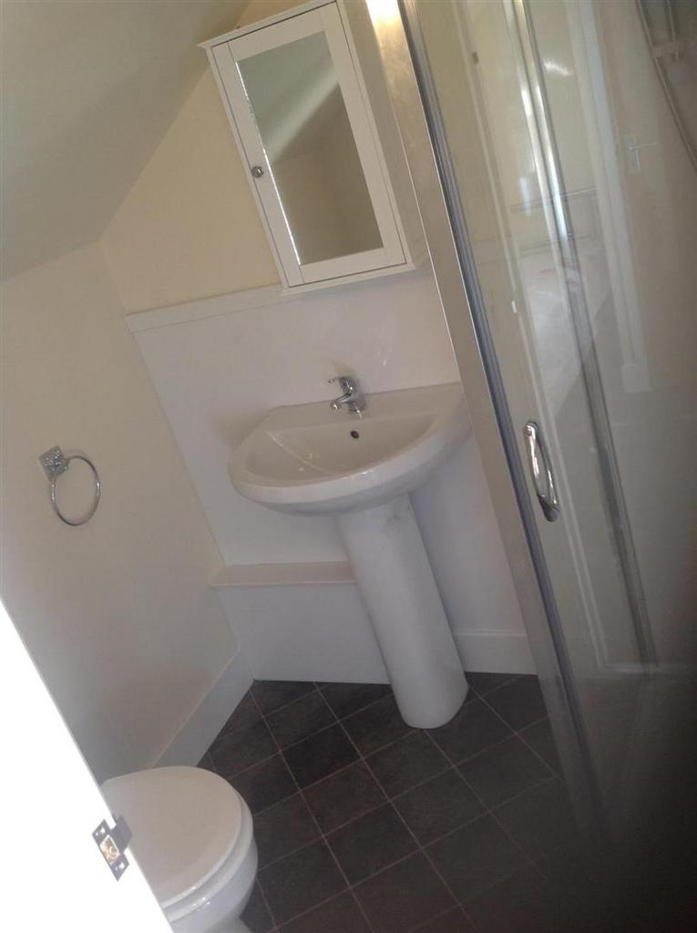 Attic Bedroom En-Suite