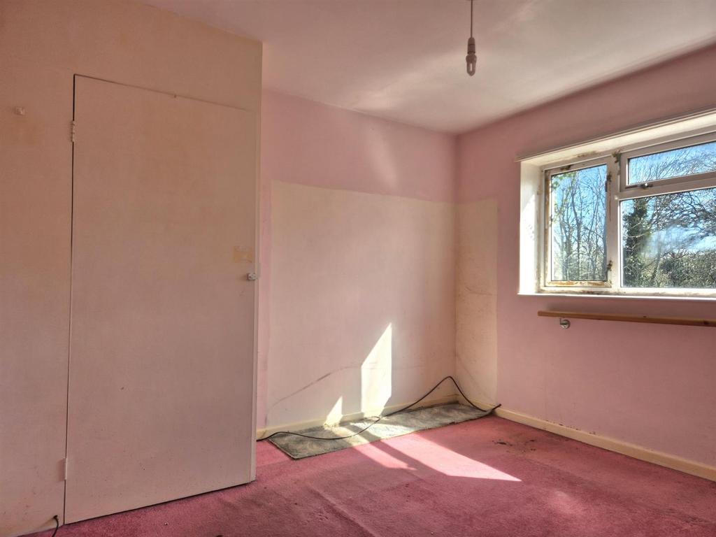 20250331 143024 resized.jpg