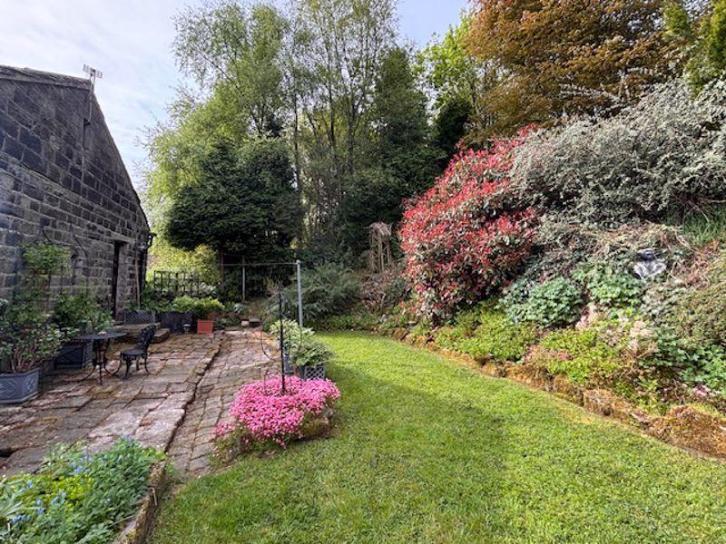 Side Patio