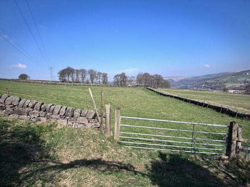 Separate Field