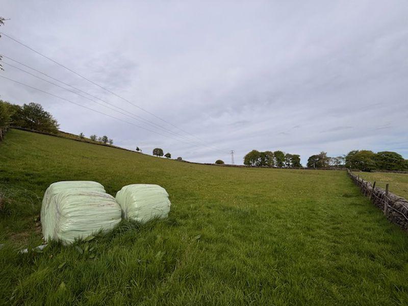 3 Acre Field