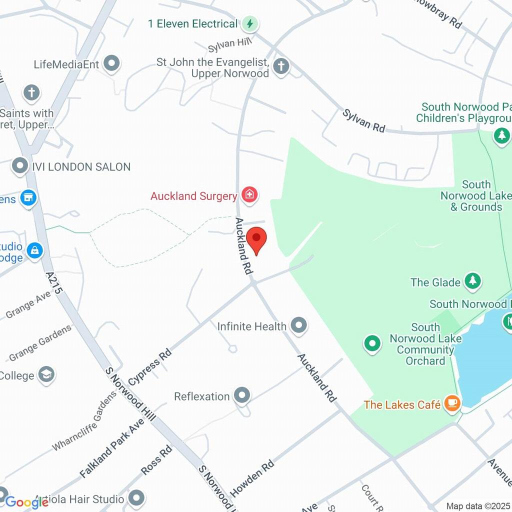 Google Maps Image