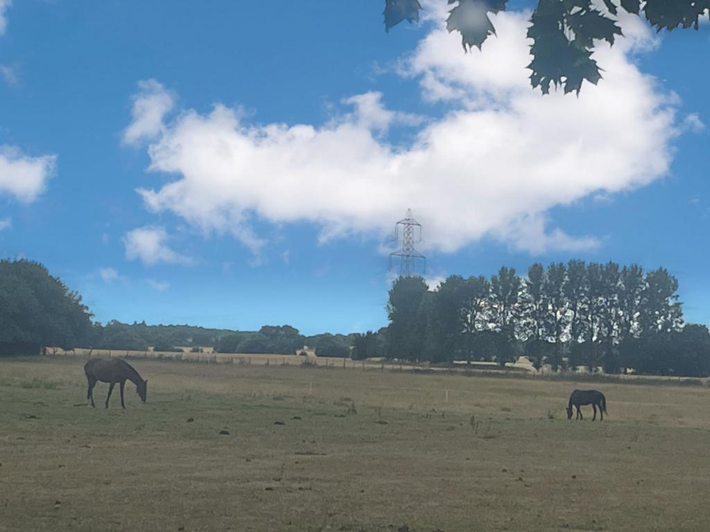 Village Views