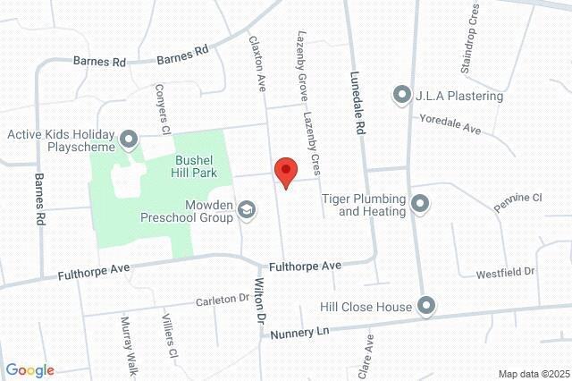 Google Maps Image