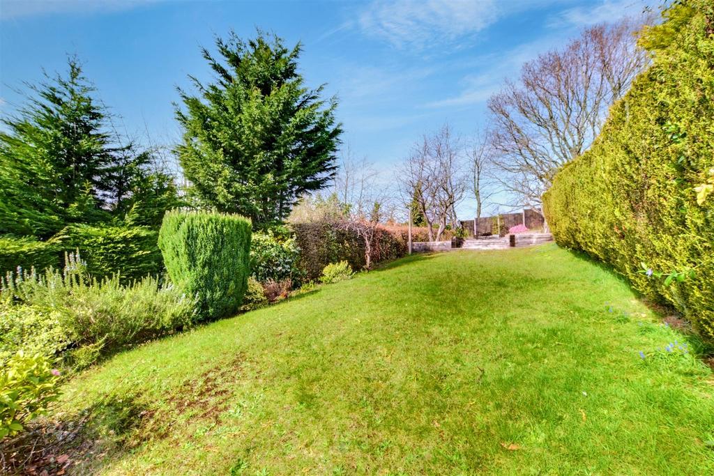 Garden 3.jpeg