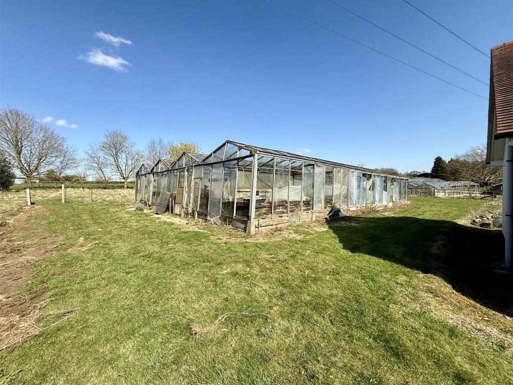 Greenhouses.jpg