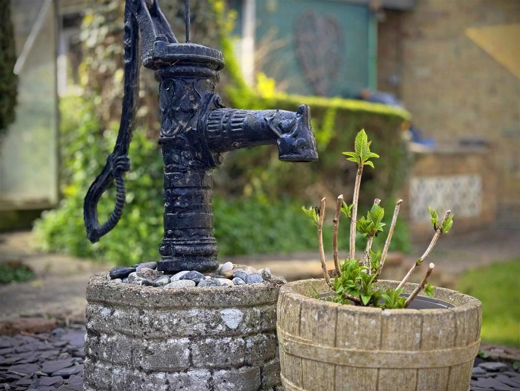 Rear Garden c.jpg