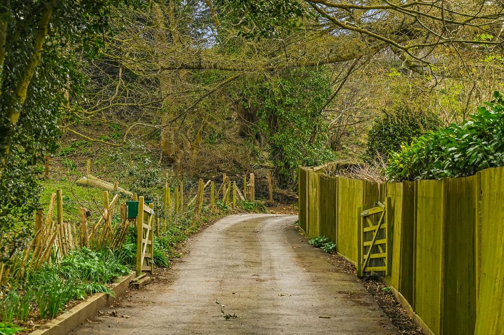 Parking - Driveway