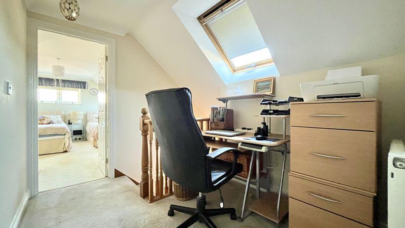 Study Area