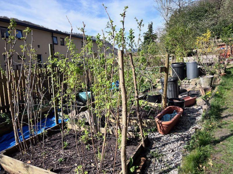 Allotment