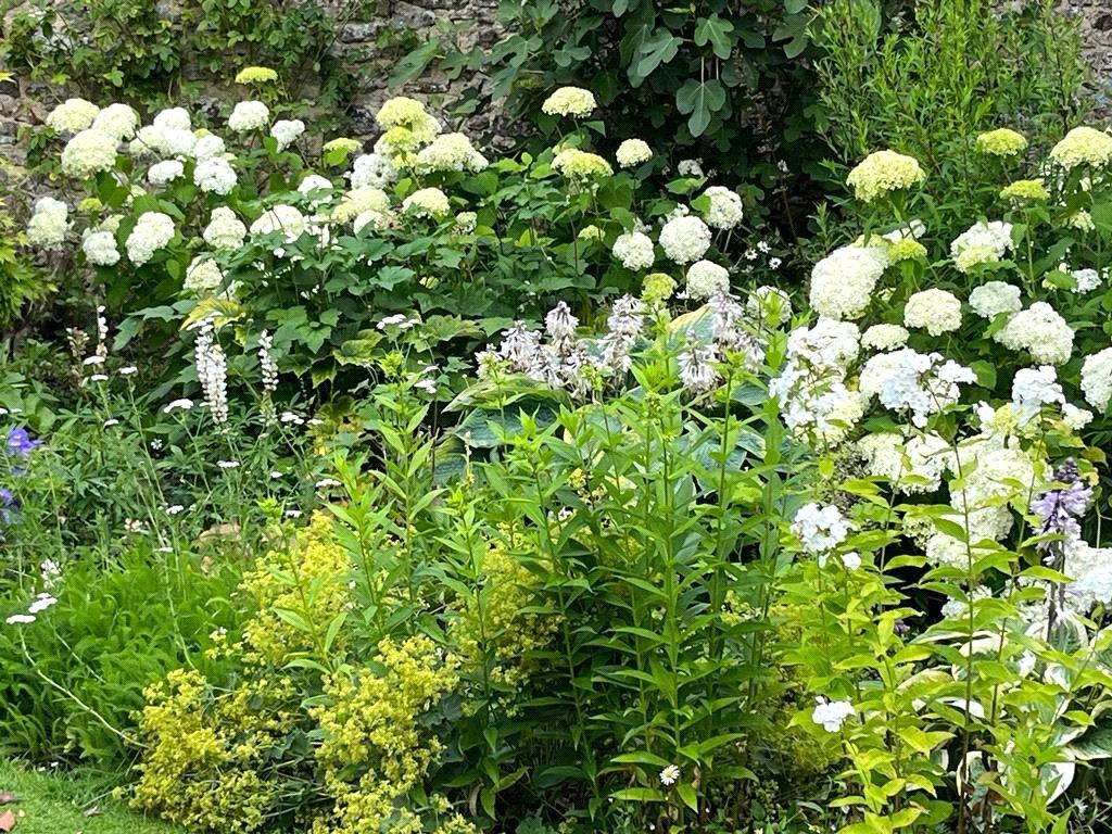 Herbaceous Border
