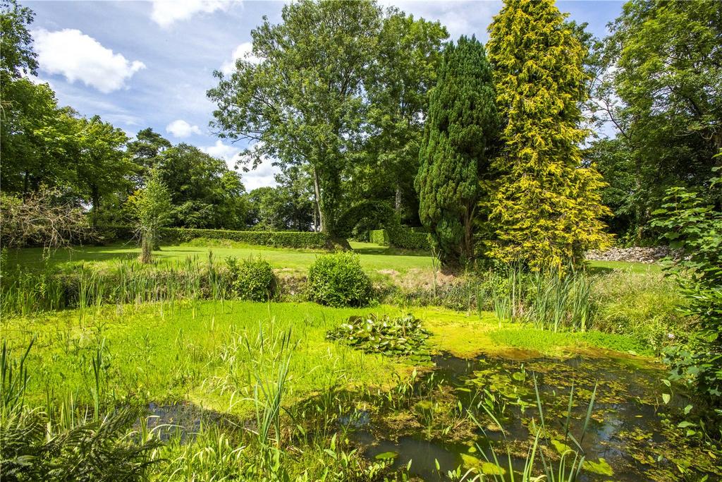 Pond