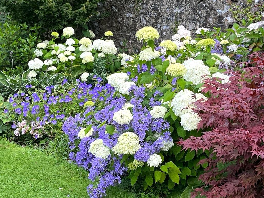 Herbaceous Border