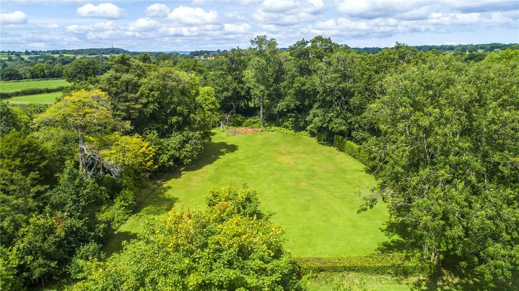 Paddock and Woodland