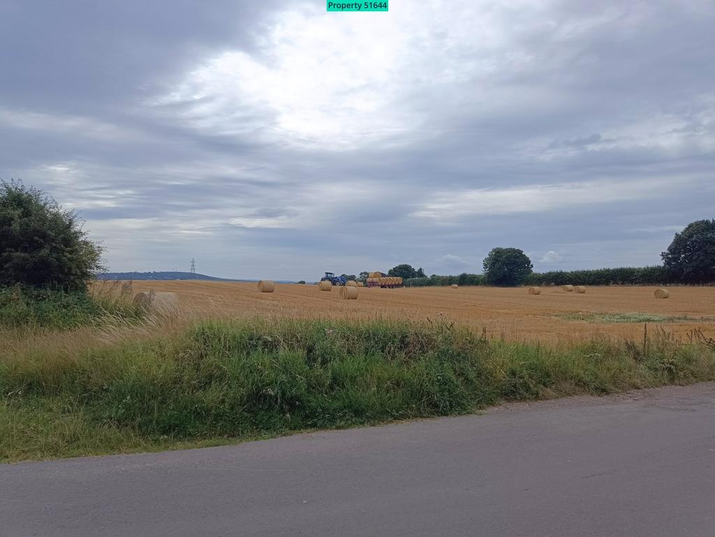 Field View Opposite