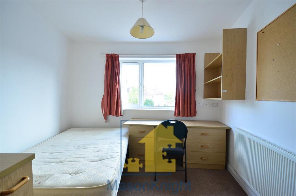 DSC 0319 - Copy - Copy.jpg