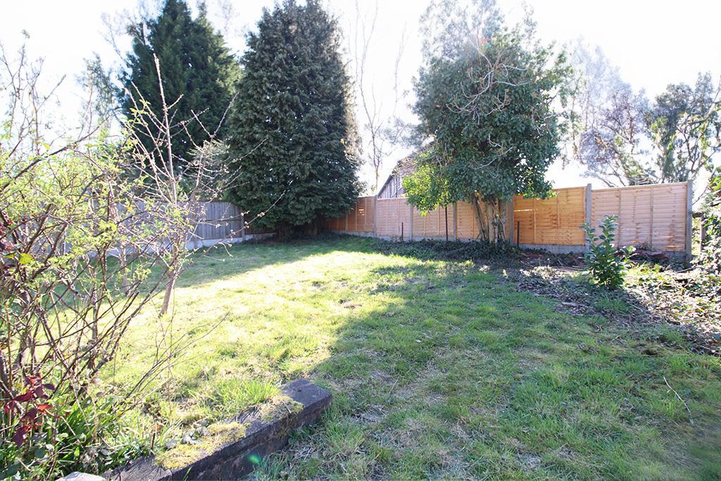 Garden 2.jpg