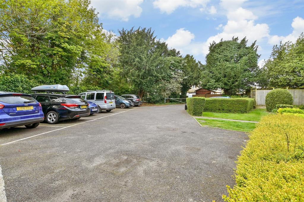 Driveway/Parking