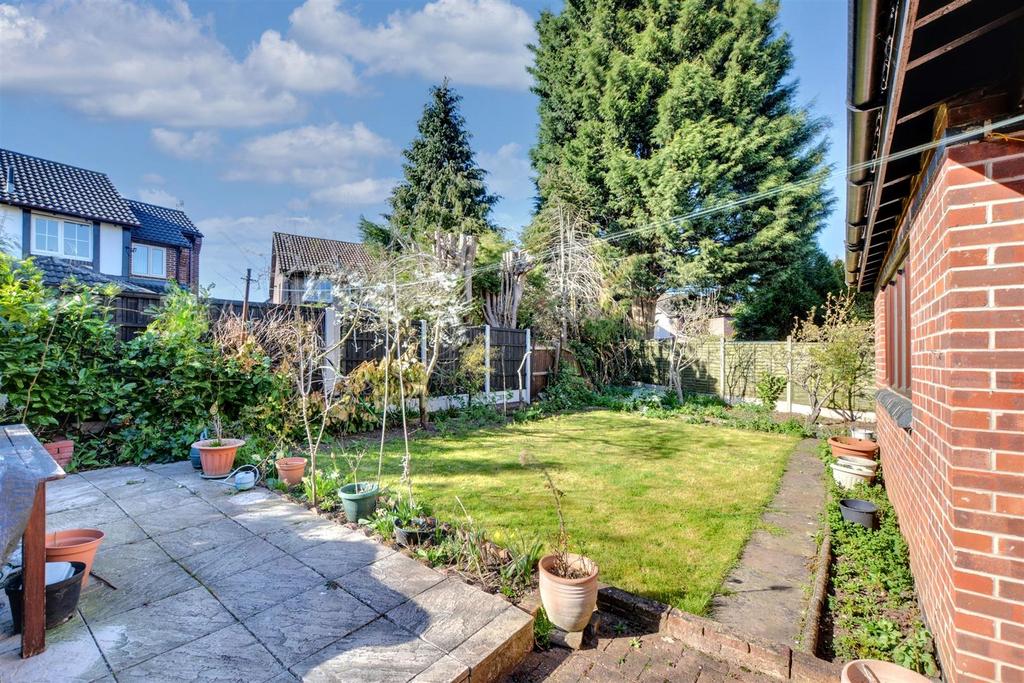 Garden  (2).jpeg