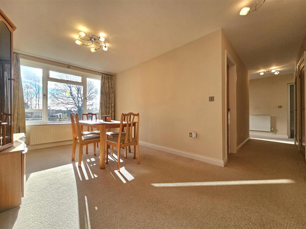 20250328 161539.jpg