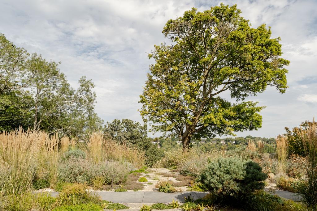 233989   20240828 camp rd tmh 1 hi res.jpg