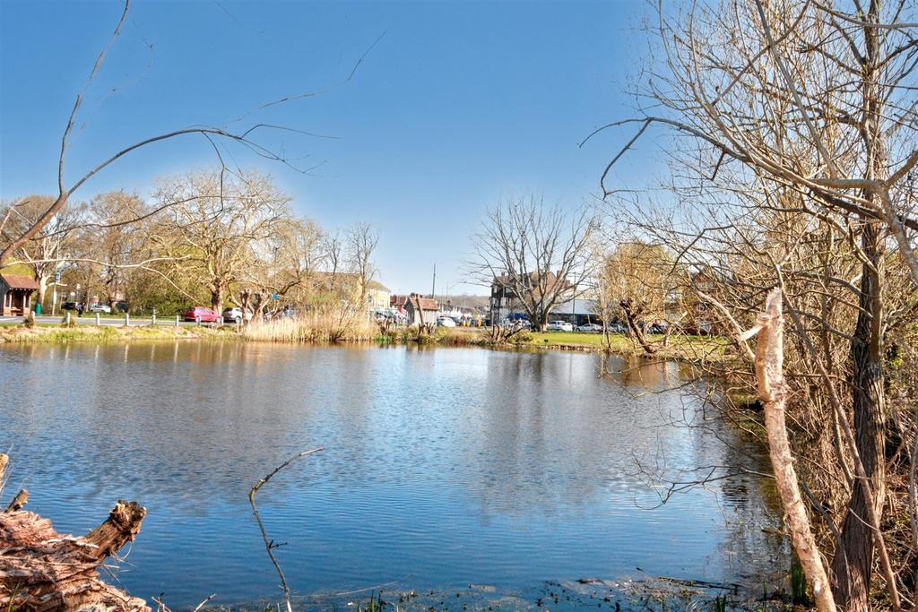 Pond.jpg