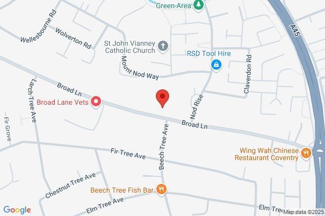 Google Maps Image