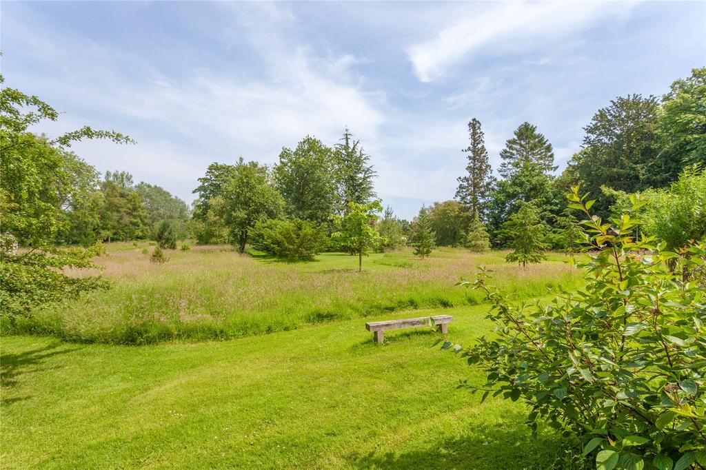 Meadow