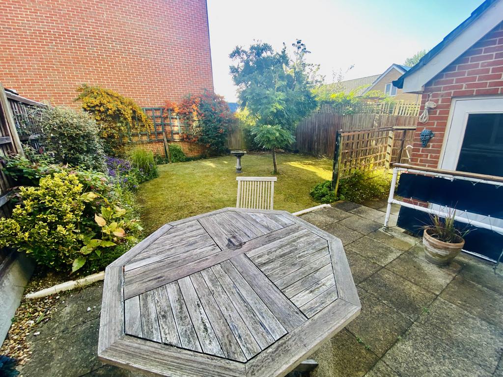 Black knight new garden