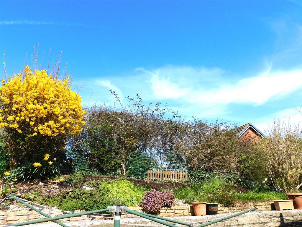 17 RD Garden.JPG