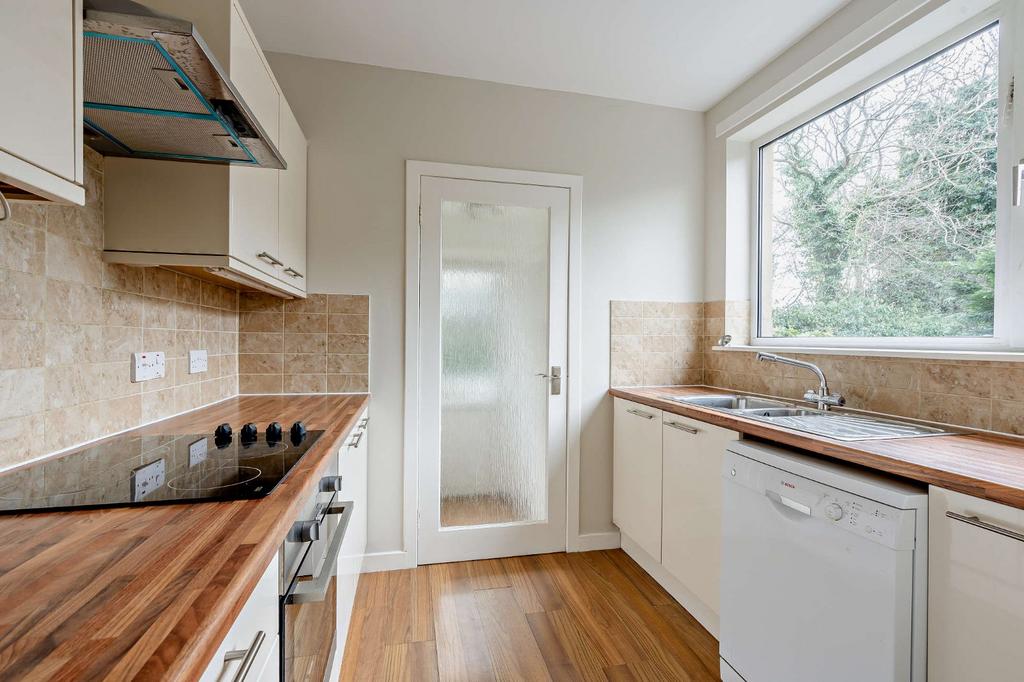 Modern Kitchen