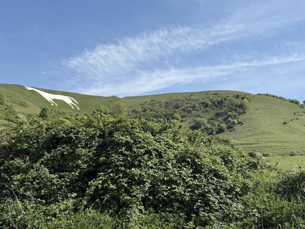 Westbury white horse