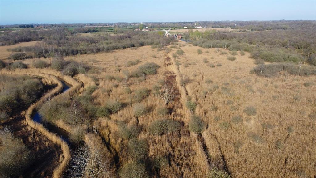 Copy DJI 0895.JPG