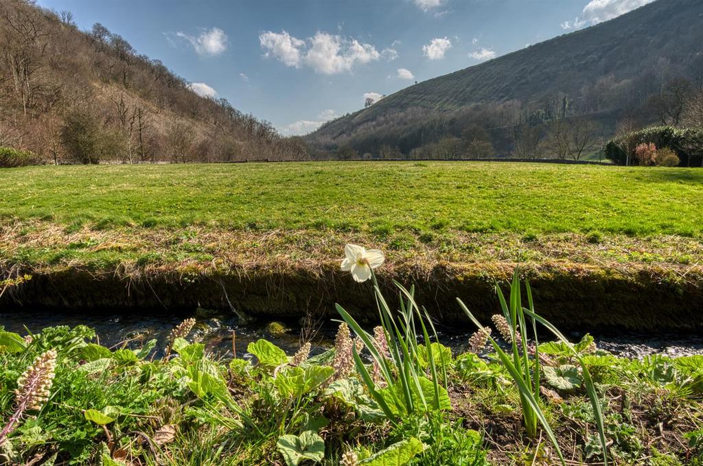 DSC 0418 hdr.jpg